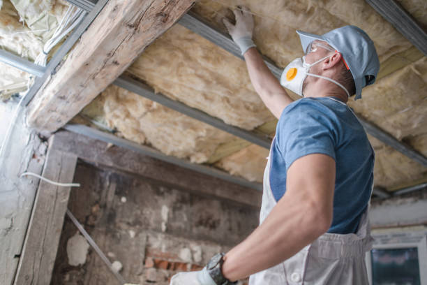 Best Crawl Space Insulation  in Bridgeville, DE