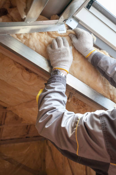 Best Insulation Contractor Near Me  in Bridgeville, DE