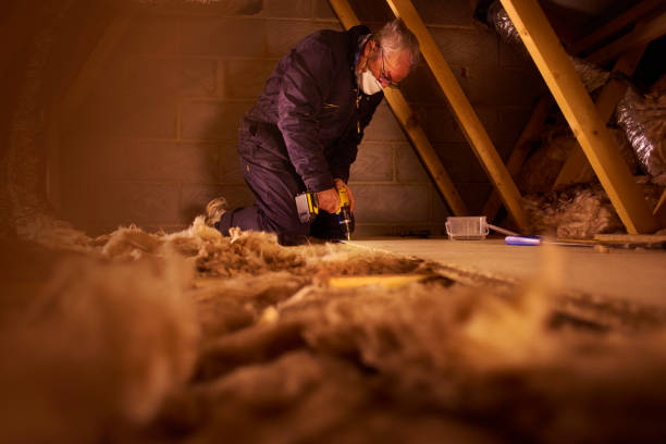 Best Affordable Insulation Services  in Bridgeville, DE